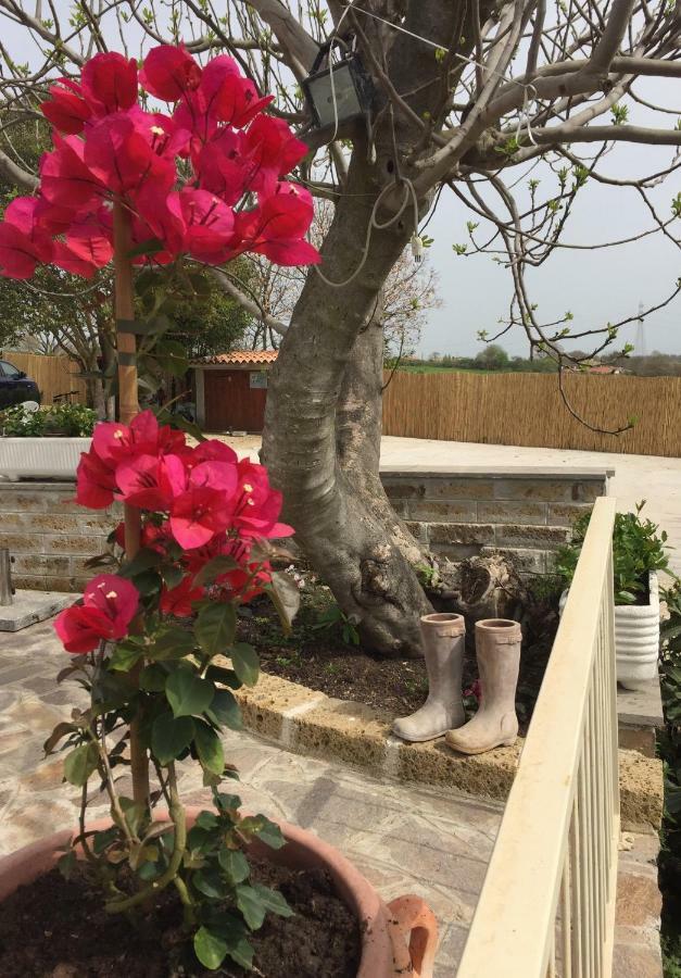 Le3Sorelle Monterosi Dış mekan fotoğraf